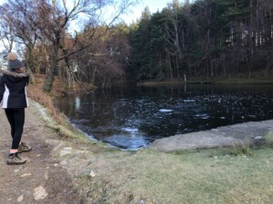 Lanty’s tarn above Glenridding Lanty’s tarn above Glenridding